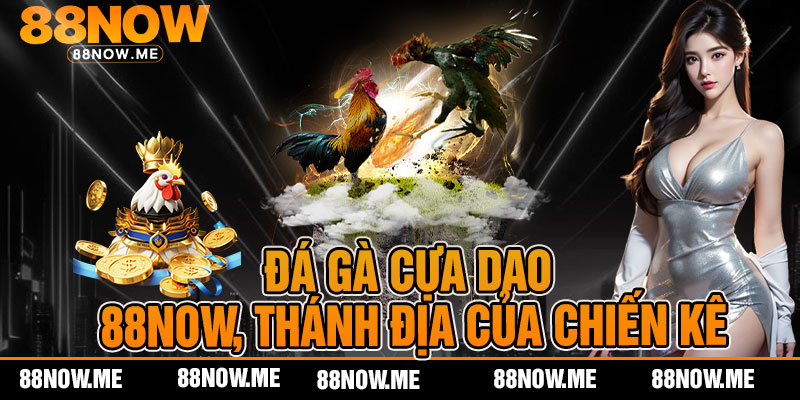 Đá Gà Cựa Dao - 88now, Thánh Địa Của Chiến Kê