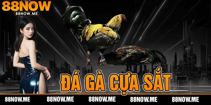 Đá Gà Cựa Sắt