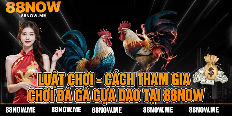 luật chơi cách tham gia chơi đá gà cựa dao tại 88now