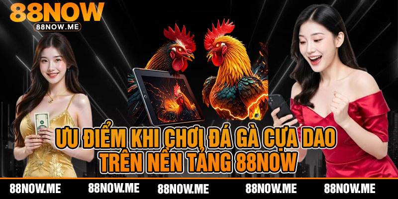ưu điểm khi chơi đá gà cựa dao trên nền tảng 88now